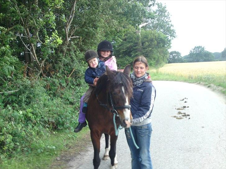 DSP bitten billede 3