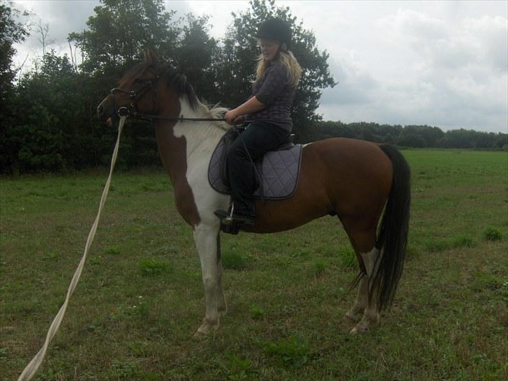 Anden særlig race Bommerlunds Streetboy billede 2