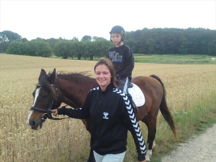 DSP bitten billede 5