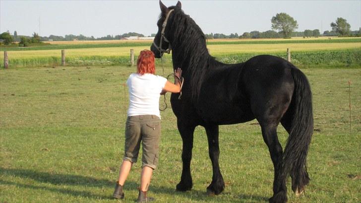 Frieser Remos fra Mørdrupgård. - Uha han er stor. billede 3