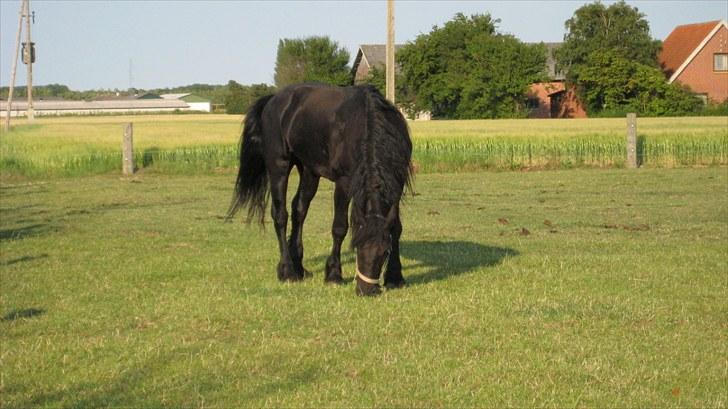 Frieser Remos fra Mørdrupgård. - Hygge. billede 4