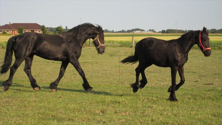 Frieser Remos fra Mørdrupgård. - Hygge. billede 7