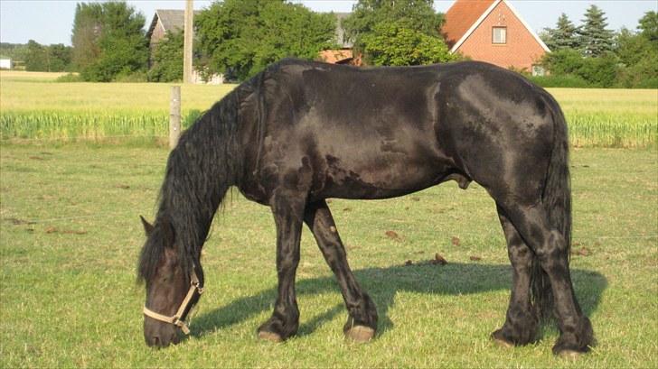 Frieser Remos fra Mørdrupgård. - Smuksak. billede 8