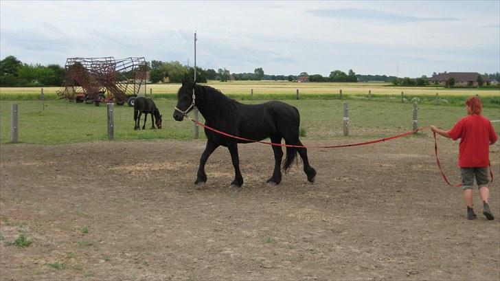 Frieser Remos fra Mørdrupgård. - Det gad han ikke rigtigt. billede 15