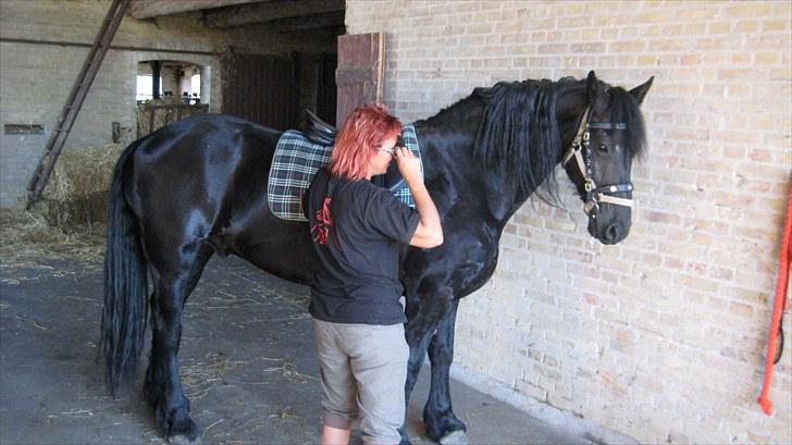 Frieser Remos fra Mørdrupgård. - Så gør vi klar. billede 16