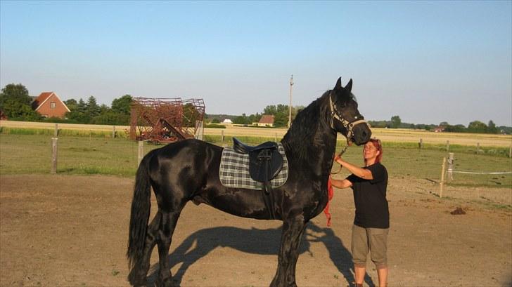 Frieser Remos fra Mørdrupgård. - Dygtig dreng. billede 18