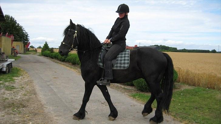 Frieser Remos fra Mørdrupgård. - Så skal Mille på tur på vild bassen, han var så sød og god. billede 19