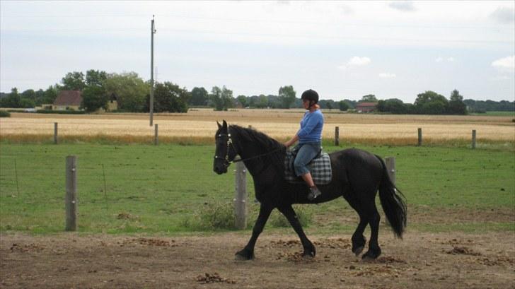 Frieser Remos fra Mørdrupgård. - min 2 tur på Remos. billede 20