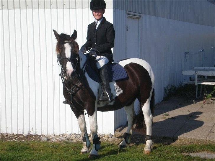 Pinto Daisy Stald Hosby - Daisy og Maiken efter stævne. Foto: Rikke billede 9