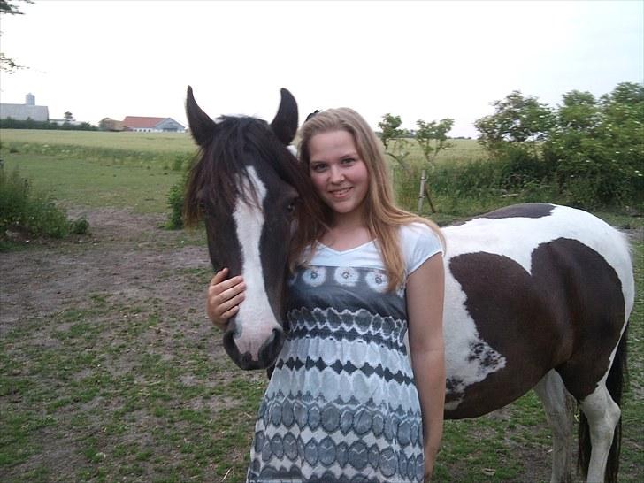 Pinto Daisy Stald Hosby - Verdens bedste dulle´poni <3 Daisy og Christina billede 10