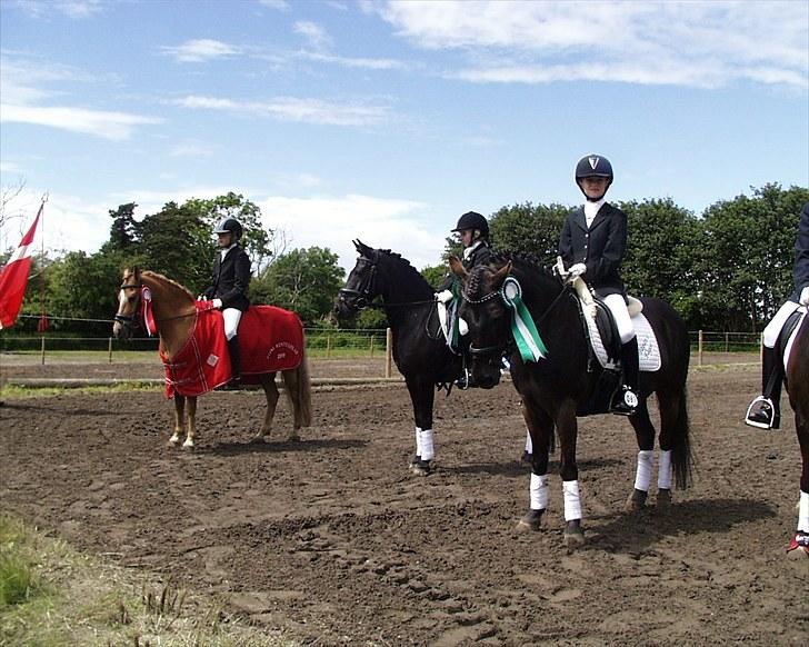 Gotlandsruss Tapan's Fagot ~A-Pony~ (solgt) - Præmieoverrækkelse til Fynsmesterskab :D,  kom på 3. pladsen..................... billede 18