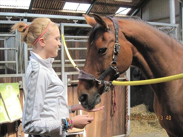Anden særlig race Nicole - fordi jeg stoler på dig skatter i; billede 8
