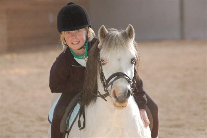 Anden særlig race Carlos<3 *gammel Passer* - <3<3<3<3<3<3<3<3<3<3<3 billede 20