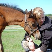 Anden særlig race Lykkebo's Athena