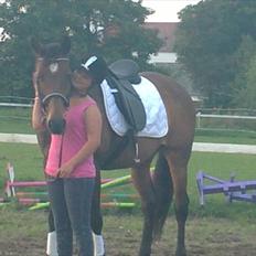 Trakehner Mercedes Lobell *Savnet*