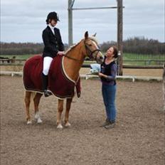 Anden særlig race Mitzi - Solgt