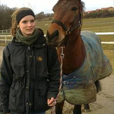 New Forest Lundgaards kahlua <3