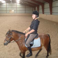 Anden særlig race Speeder.