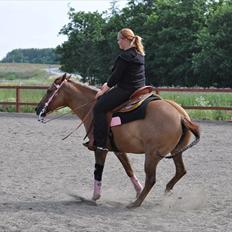 Quarter Pride Texas Cowgirl