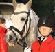 Welsh Pony (sec B) | SABINE *SOLGT*
