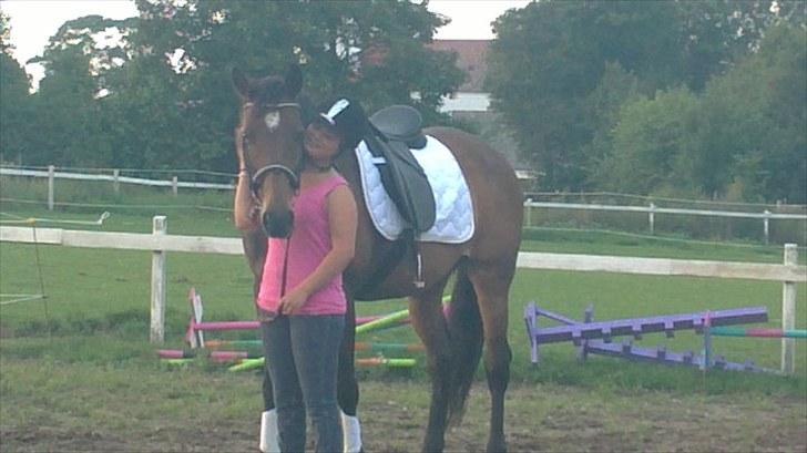 Trakehner Mercedes Lobell *Savnet* - Du er bare den bedste hest ever!<3 billede 3