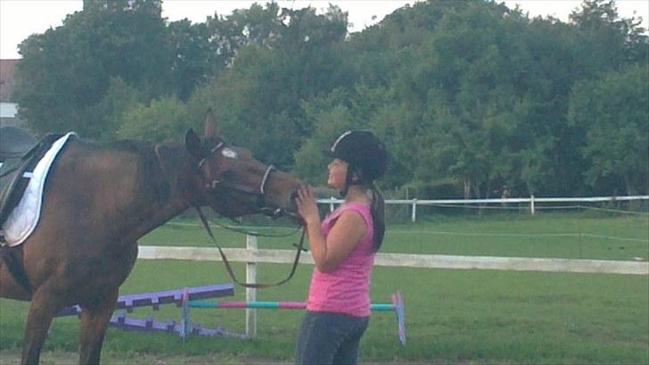Trakehner Mercedes Lobell *Savnet* - Min kærlighed til dig er så stor at den ikke kan bedskrives. Elsker dig! Du er det bedste der er sket for mig! Mit et og alt!  billede 4