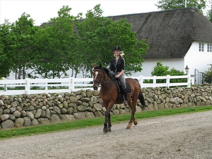 Westfaler wiktoria  billede 13