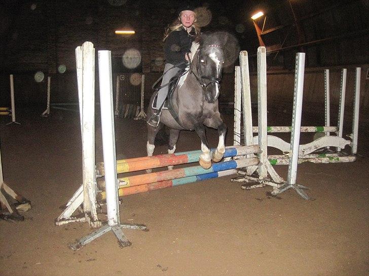 Anden særlig race Bounty ( TIDLIGER DRØMME PART ) - Første gang jeg sprang bane på ham :-D billede 7