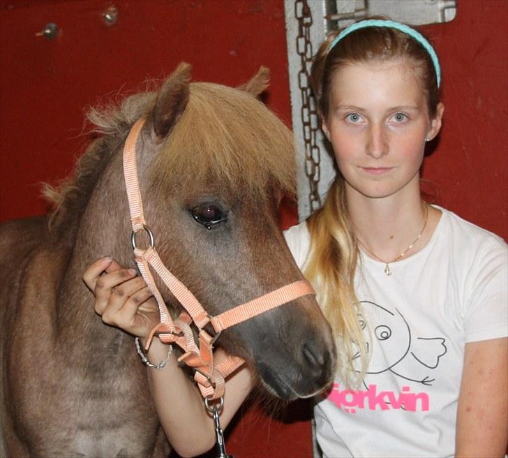 Miniature Little Sensation - 3# Mig og Sensation <3 billede 4