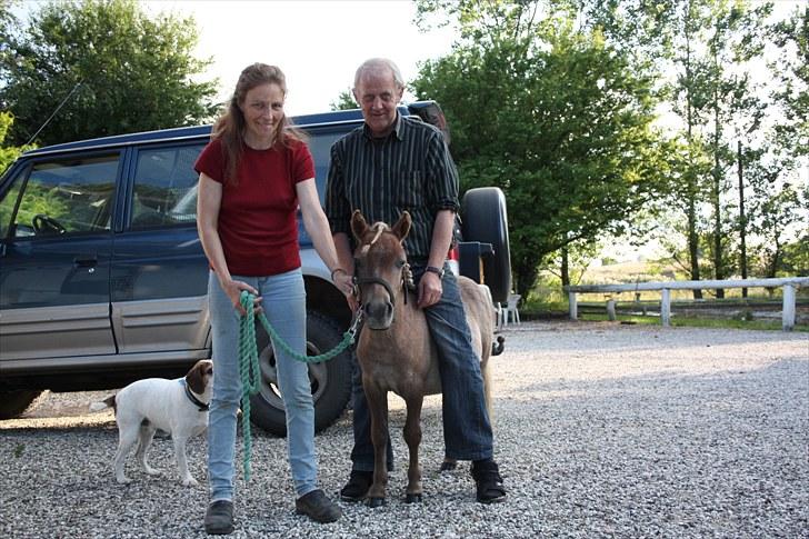 Miniature Little Sensation - 4# Mini og min mor og far :) Bare rolig min far er så høj at han slet ikke rørte hende med sin vægt da han stod over hende ;) <3 billede 5