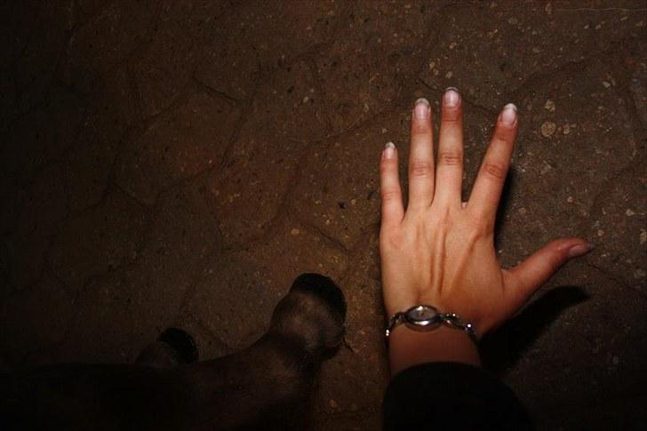 Miniature Little Sensation - 8# Sensation´s Hov og min hånd - Nuurh <3 Og jeg har altså en ganske alm. 16 årig str. pige hånd xD Mini hov <3 billede 9