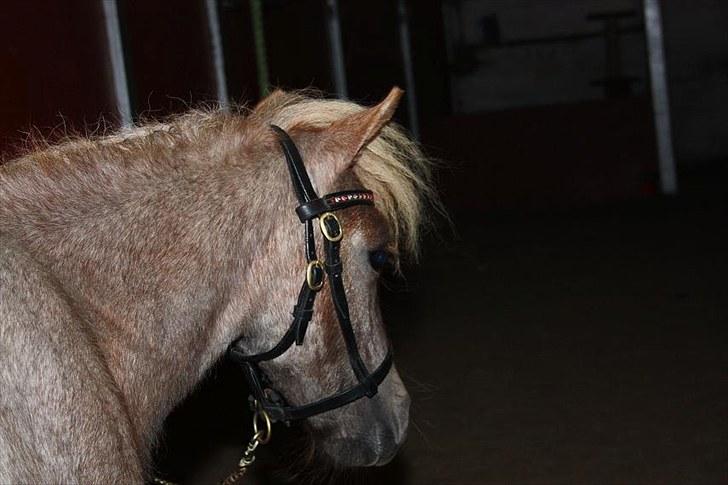 Miniature Little Sensation - 9# My little girl <3 billede 10