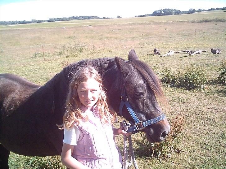 Anden særlig race Maj †*DØD* *R.I.P*† - maj i skønheds konkurrence:P billede 6