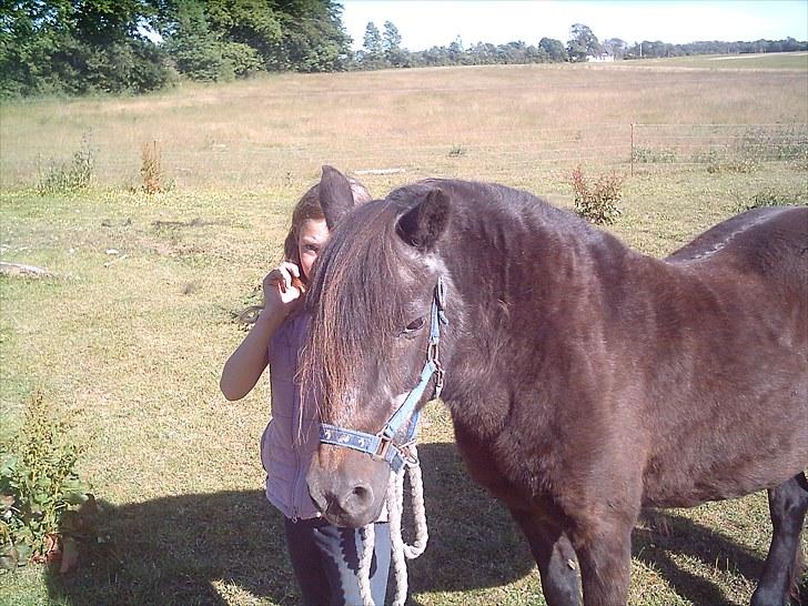 Anden særlig race Maj †*DØD* *R.I.P*† - maj fra siden uden man:D billede 7