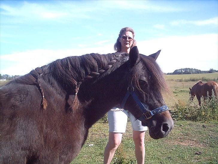 Anden særlig race Maj †*DØD* *R.I.P*† - majs flotte flettede man:D billede 9