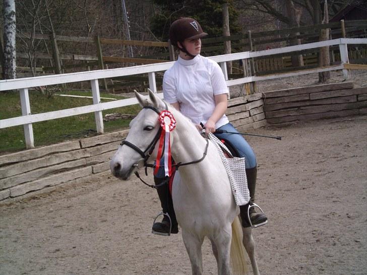 Connemara Columbine - Mig og colombine til vores sidste konkurence:D billede 1