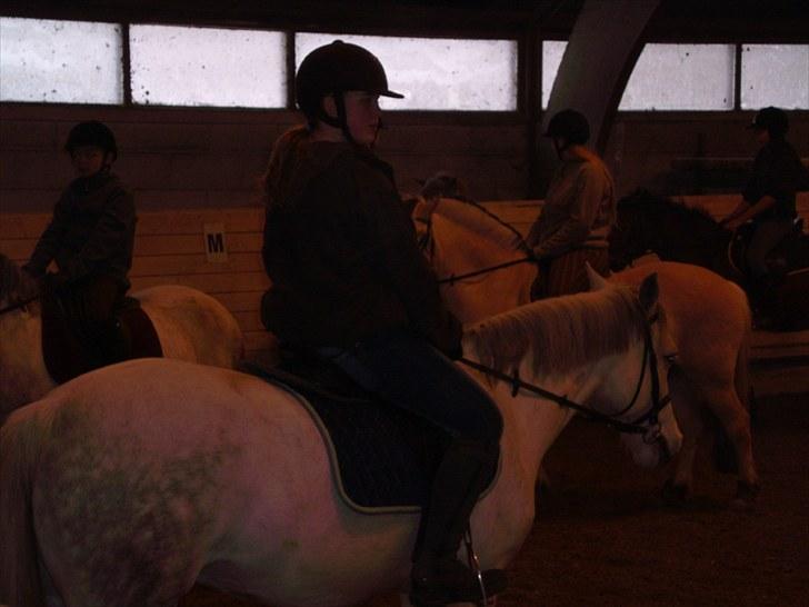 Connemara Columbine - ponygames billede 4