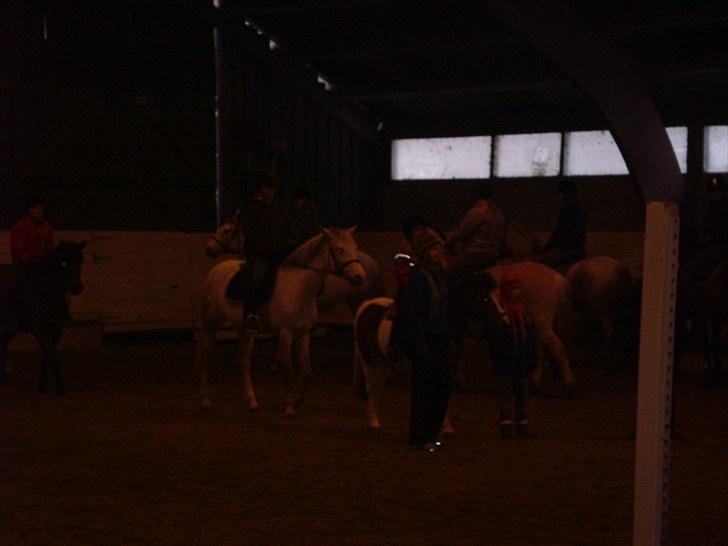 Connemara Columbine - ponygames billede 5