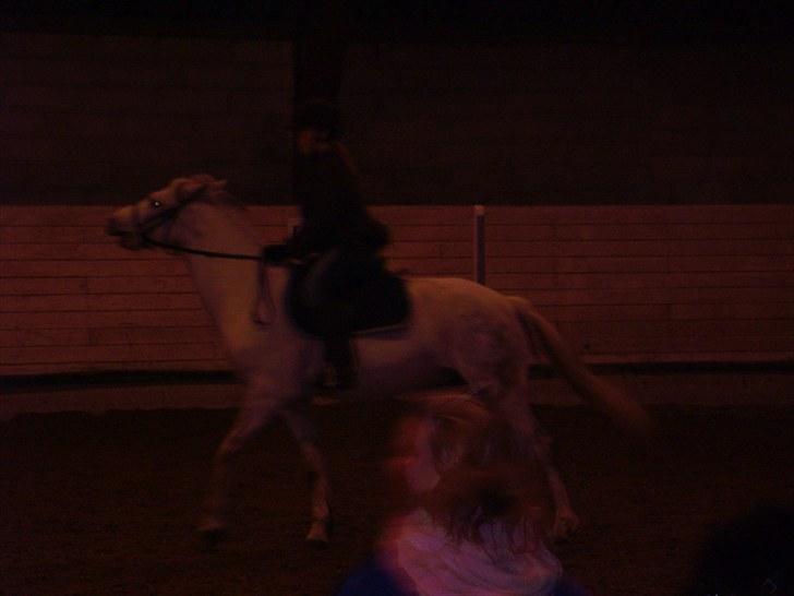 Connemara Columbine - ponygames hun forstod ikk at hun skulle løbe hurtigt:P billede 6