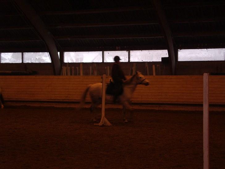 Connemara Columbine - slalom slalom... :D billede 7