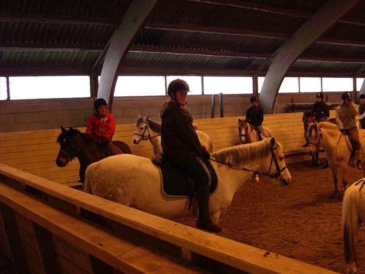 Connemara Columbine - vente vente... billede 8