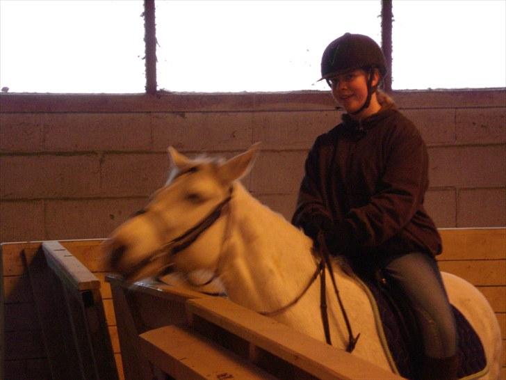 Connemara Columbine - Halløj er der nogle der filmer det her? billede 9