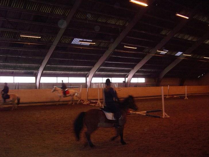 Connemara Columbine - så varmer vi op! billede 12