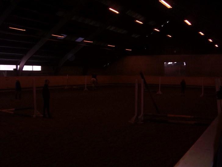 Connemara Columbine - nu køre det! billede 14