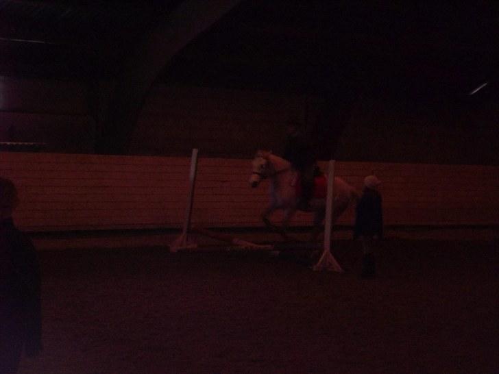 Connemara Columbine - uhhh... vi springer :P billede 16