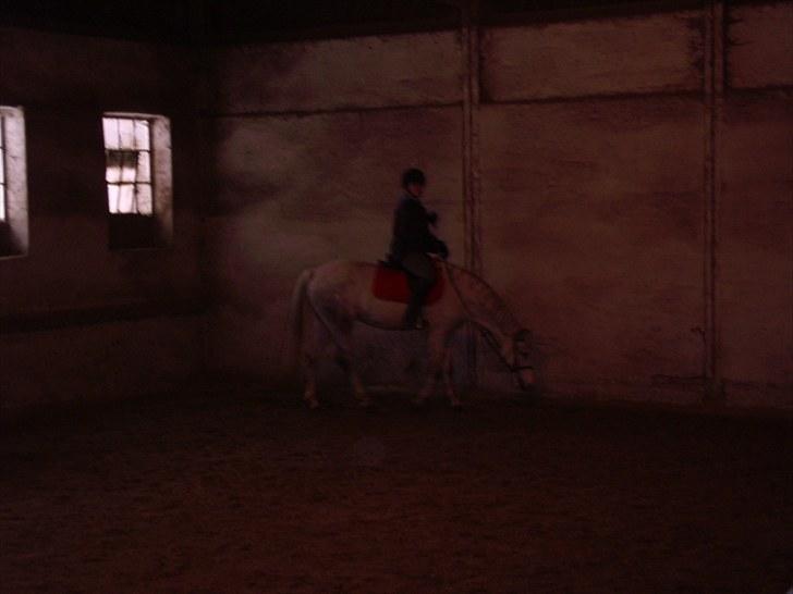 Connemara Columbine - lagsomt fremad... billede 18