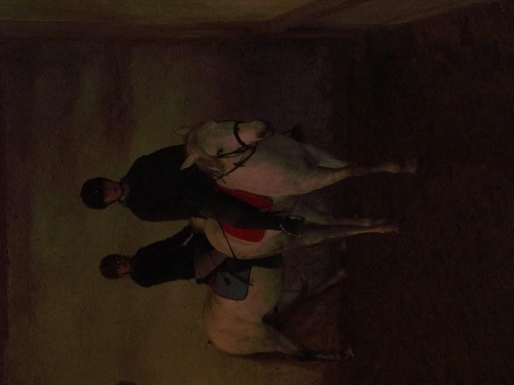 Connemara Columbine - se mig:) billede 19