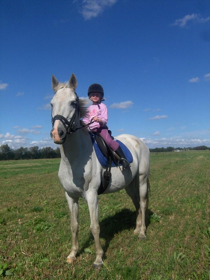 Anden særlig race † Sirbastian *soulmate* R.I.P † - Ja.. jeg er så sød at chefen lader hendes børn ride mig  billede 5