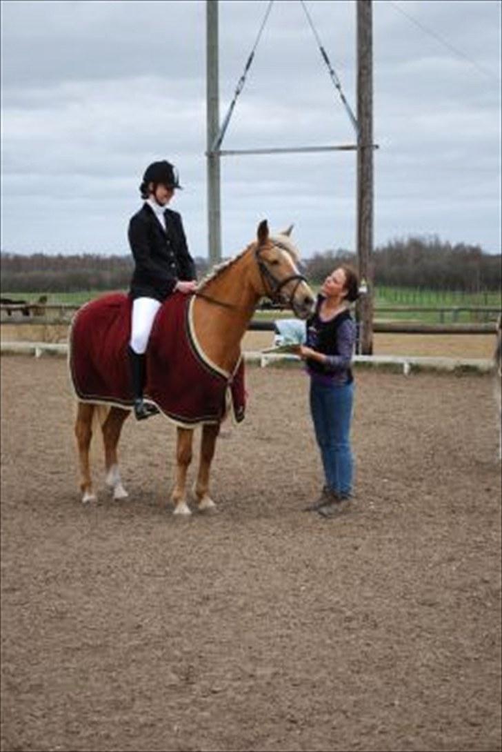 Anden særlig race Mitzi - Solgt - Vi vandt en 2 plads ;-) billede 3