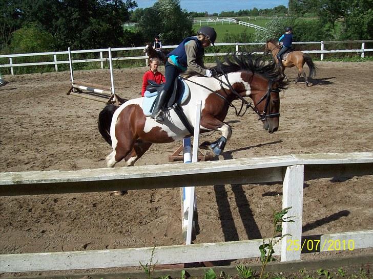 Anden særlig race  bella billede 7